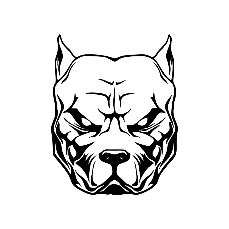 สติกเกอร์ติดมอเตอร์ไซค์ลายสุนั - Motorcycle Gear For Dogs บทวิจารณ์และราคา