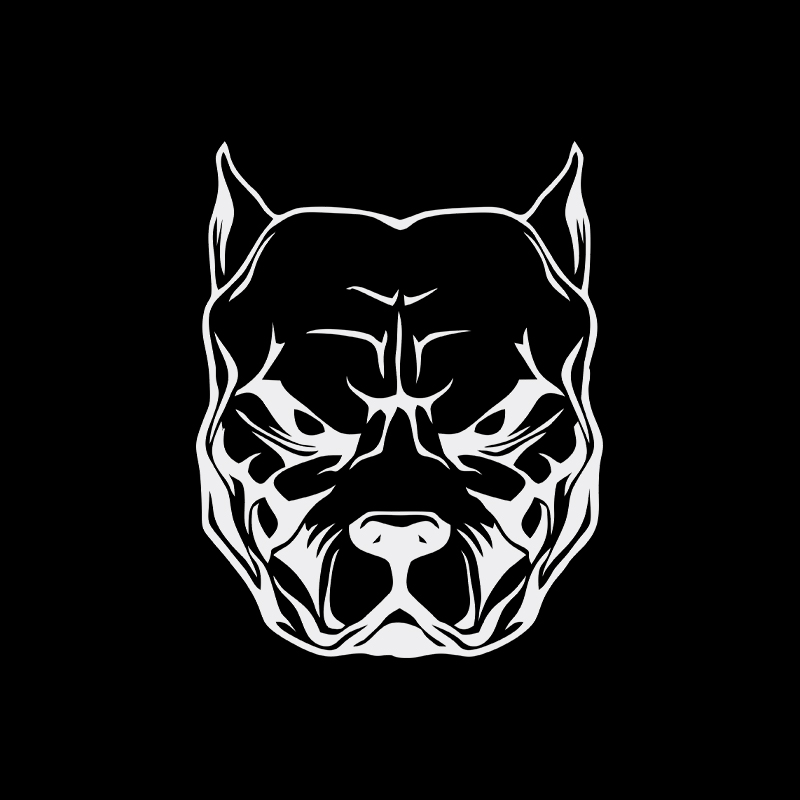 สติกเกอร์ติดมอเตอร์ไซค์ลายสุนั - Motorcycle Gear For Dogs บทวิจารณ์และราคา