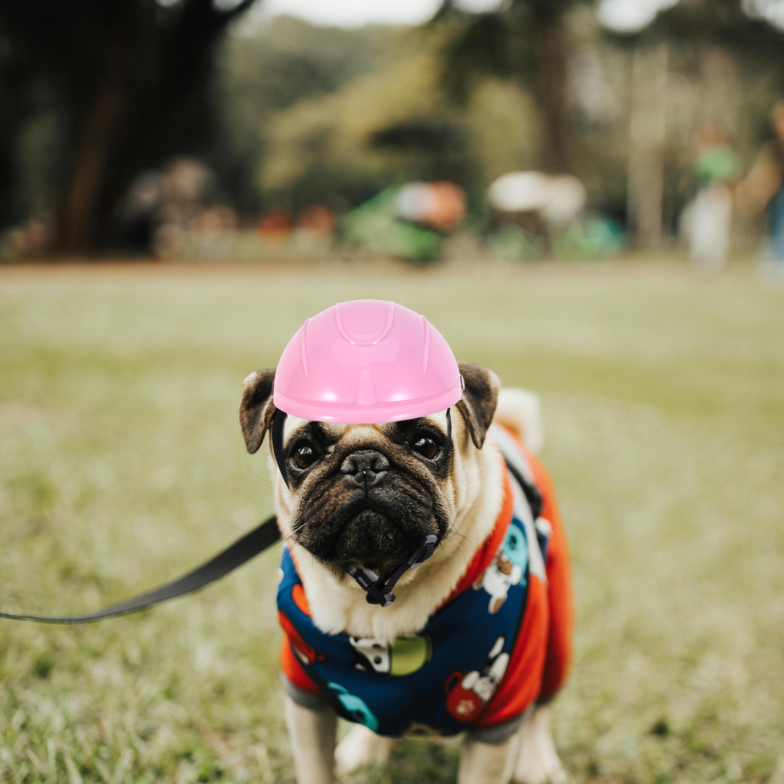 หมวกกันน็อคสำหรับสัตว์เลี้ยงขน - Motorcycle Gear For Dogs บทวิจารณ์และราคา