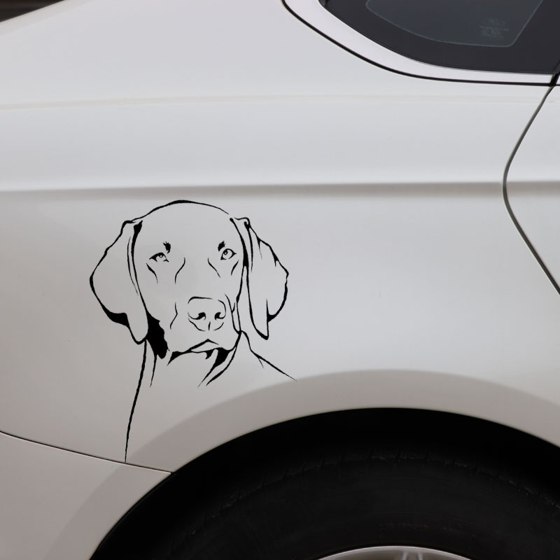 สติกเกอร์ไวนิล PVC กันน้ำลายเส - Motorcycle Gear For Dogs บทวิจารณ์และราคา