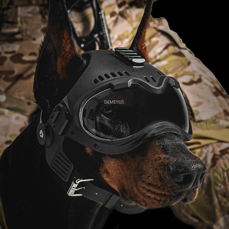 หมวกนิรภัยสำหรับสุนัขล่าสัตว์ก - Motorcycle Gear For Dogs บทวิจารณ์และราคา