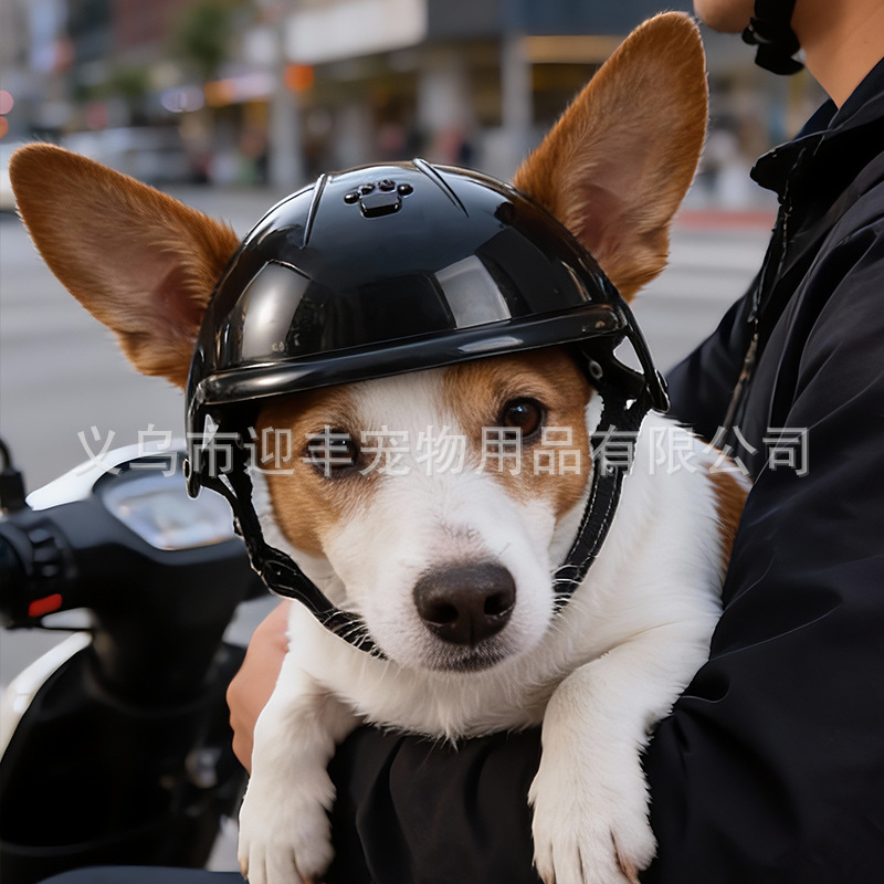 หมวกกันน็อคสำหรับสัตว์เลี้ยงสี - Motorcycle Gear For Dogs บทวิจารณ์และราคา