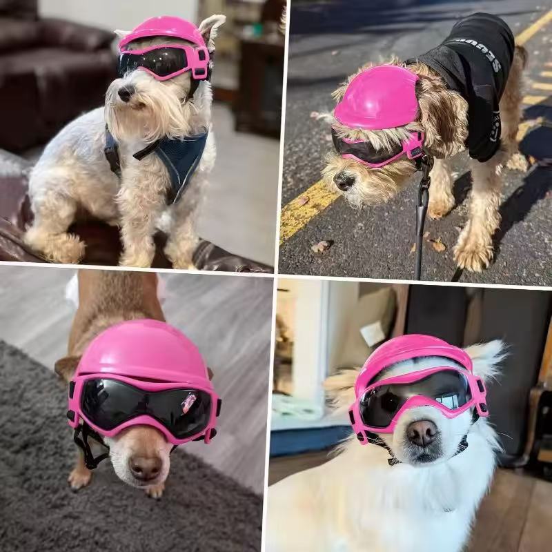 ชุดแว่นตาหมวกกันน็อคมอเตอร์ไซค - Motorcycle Gear For Dogs บทวิจารณ์และราคา