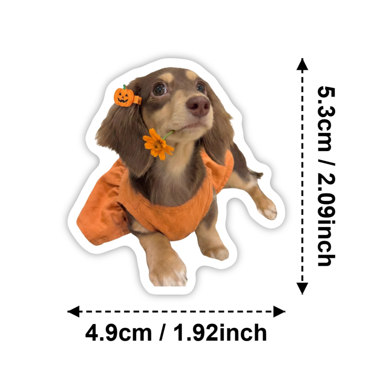 50 ชิ้น HD สติกเกอร์น่ารักรูปส - Motorcycle Gear For Dogs บทวิจารณ์และราคา