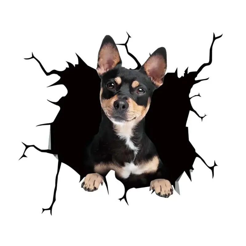 1 ชิ้น สติกเกอร์สุนัขเฟรนช์บูล - Motorcycle Gear For Dogs บทวิจารณ์และราคา